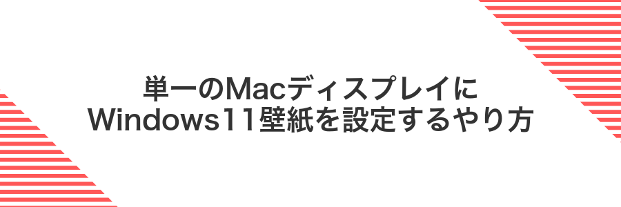 単一のMacディスプレイにWindows11壁紙を設定するやり方