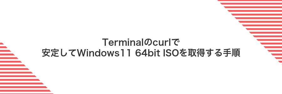Terminalのcurlで安定してWindows11 64bit ISOを取得する手順