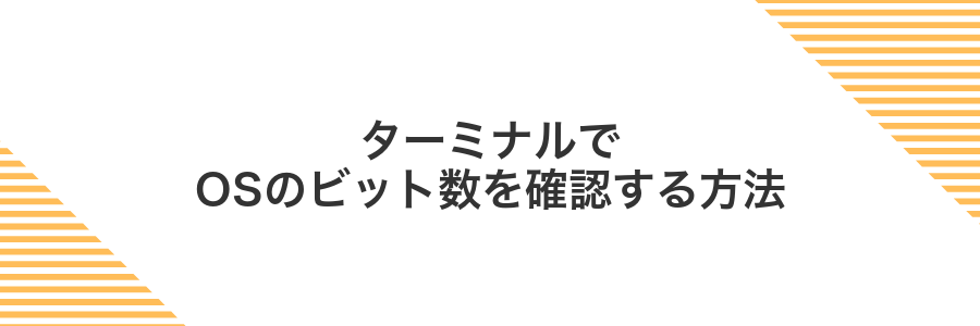 ターミナルでOSのビット数を確認する方法