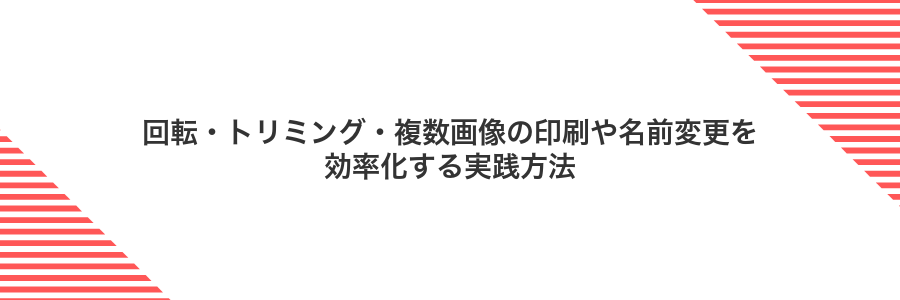回転・トリミング・複数画像の印刷や名前変更を効率化する実践方法